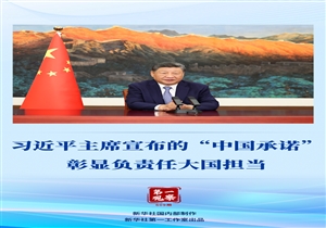 第一观察｜习近平主席宣布的“中国承诺”彰显负责任大国担当