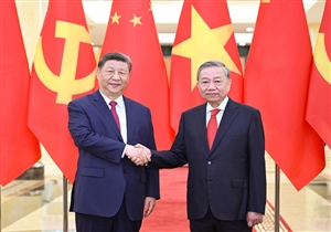 习近平同越共中央总书记苏林举行会谈