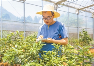 “我是党员，我在岗位” | 曹立新：“用专业所学，为农业现代化作贡献”