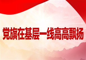 党旗在基层一线高高飘扬 | 火红的灯笼，红火的日子…