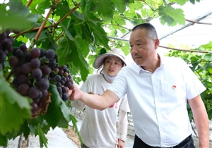 党旗在基层一线高高飘扬丨退伍军人当书记，带出一个亿元村